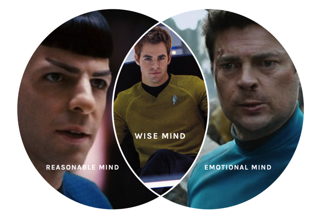 venn diagram with Spock as reasonable mind, Dr. McCoy as emotion mind, and Captain Kirk in the middle as wise mind